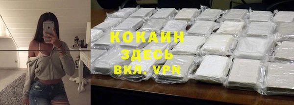 дмт Осташков