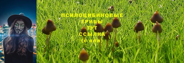 бутират Болотное