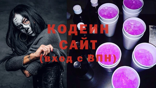 дмт Няндома