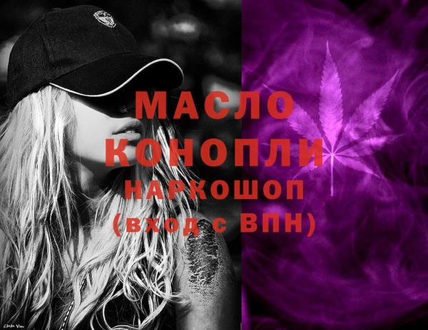 дмт Осташков