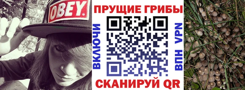 Галлюциногенные грибы ЛСД  где можно купить   Новый Уренгой 