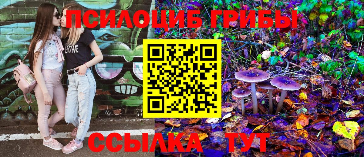 Галлюциногенные грибы Psilocybine cubensis  Псилоцибиновые грибы ЛСД  Вход с VPN  Новый Уренгой 