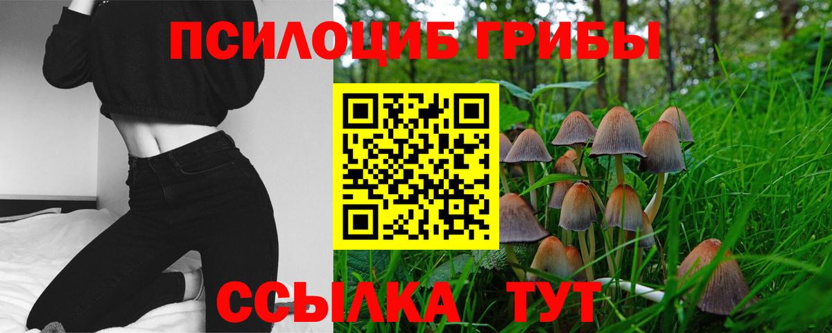 Псилоцибиновые грибы мухоморы Новый Уренгой
